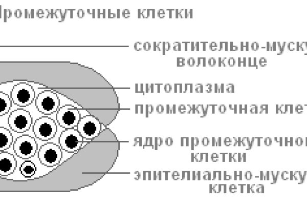 Кракен адрес