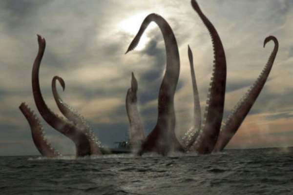 Kraken url