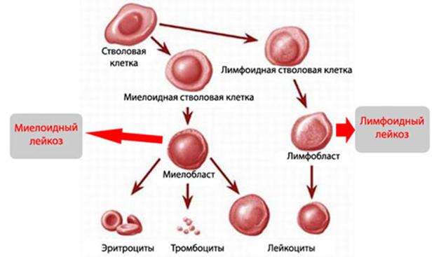 Почему не работает кракен сегодня